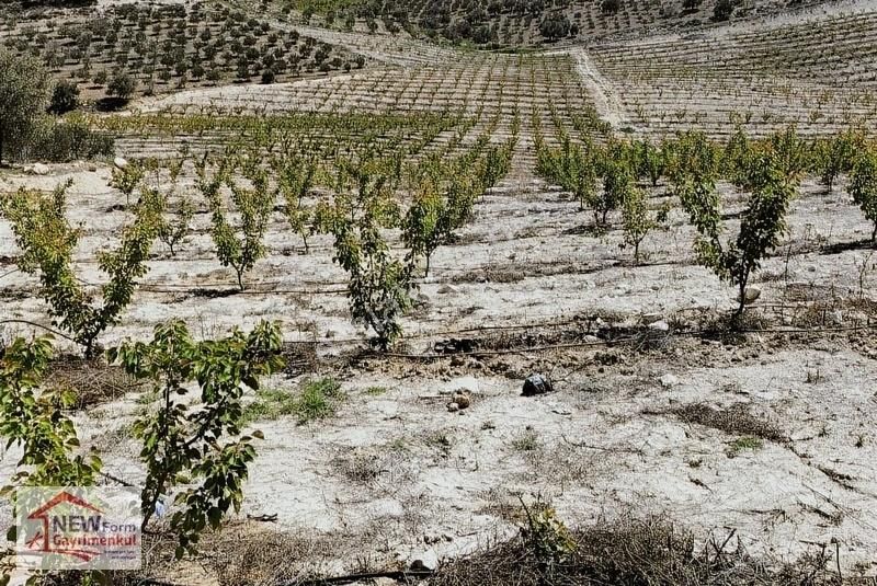 New Form'dan Mut Saçmatepesi Mevkii'nde 35779 M2 Satılık Bahçe