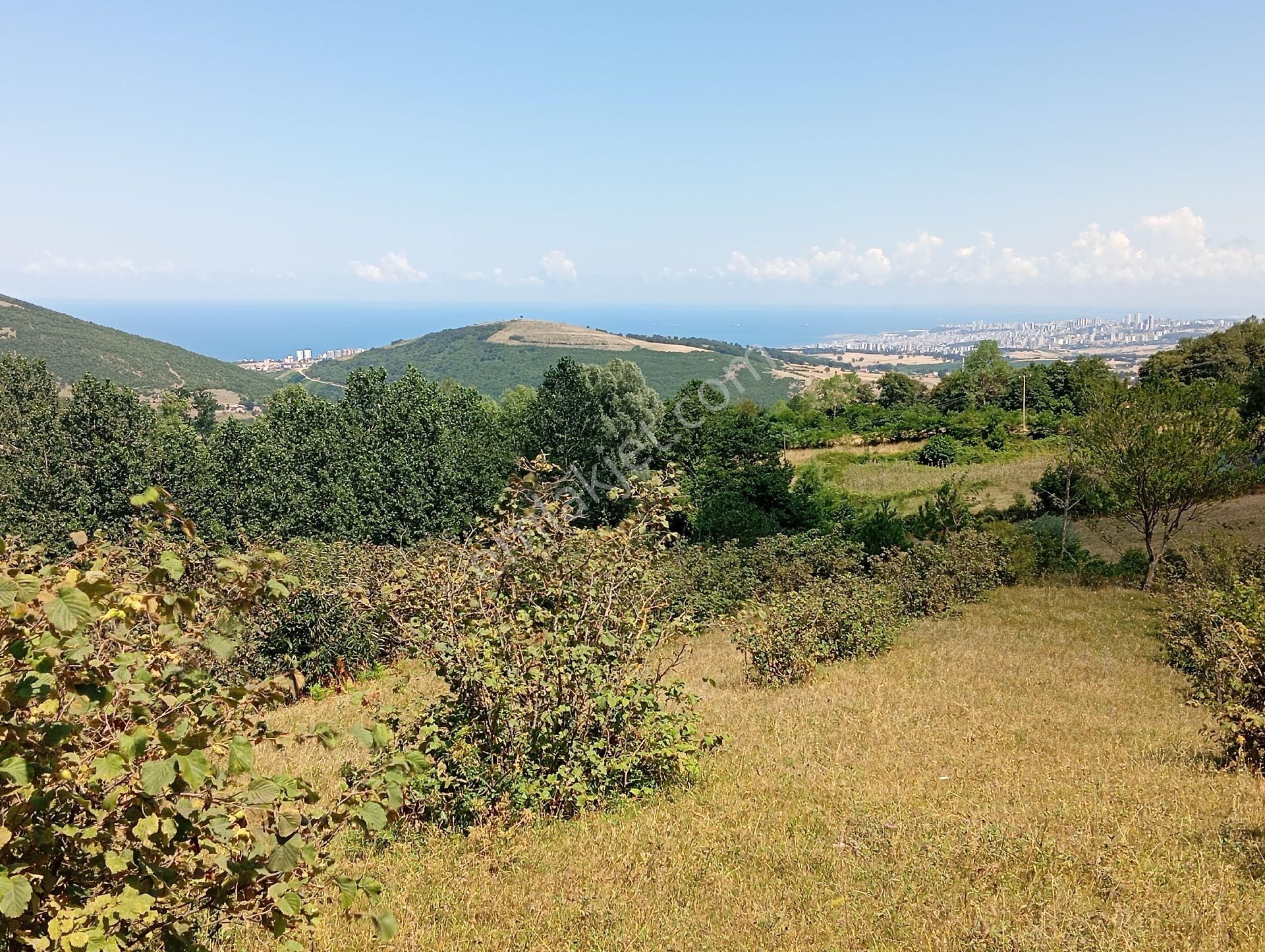 Yukarıaksu'da Satılık Atakum Ve Deniz Manzaralı Tarla - Görsel 12