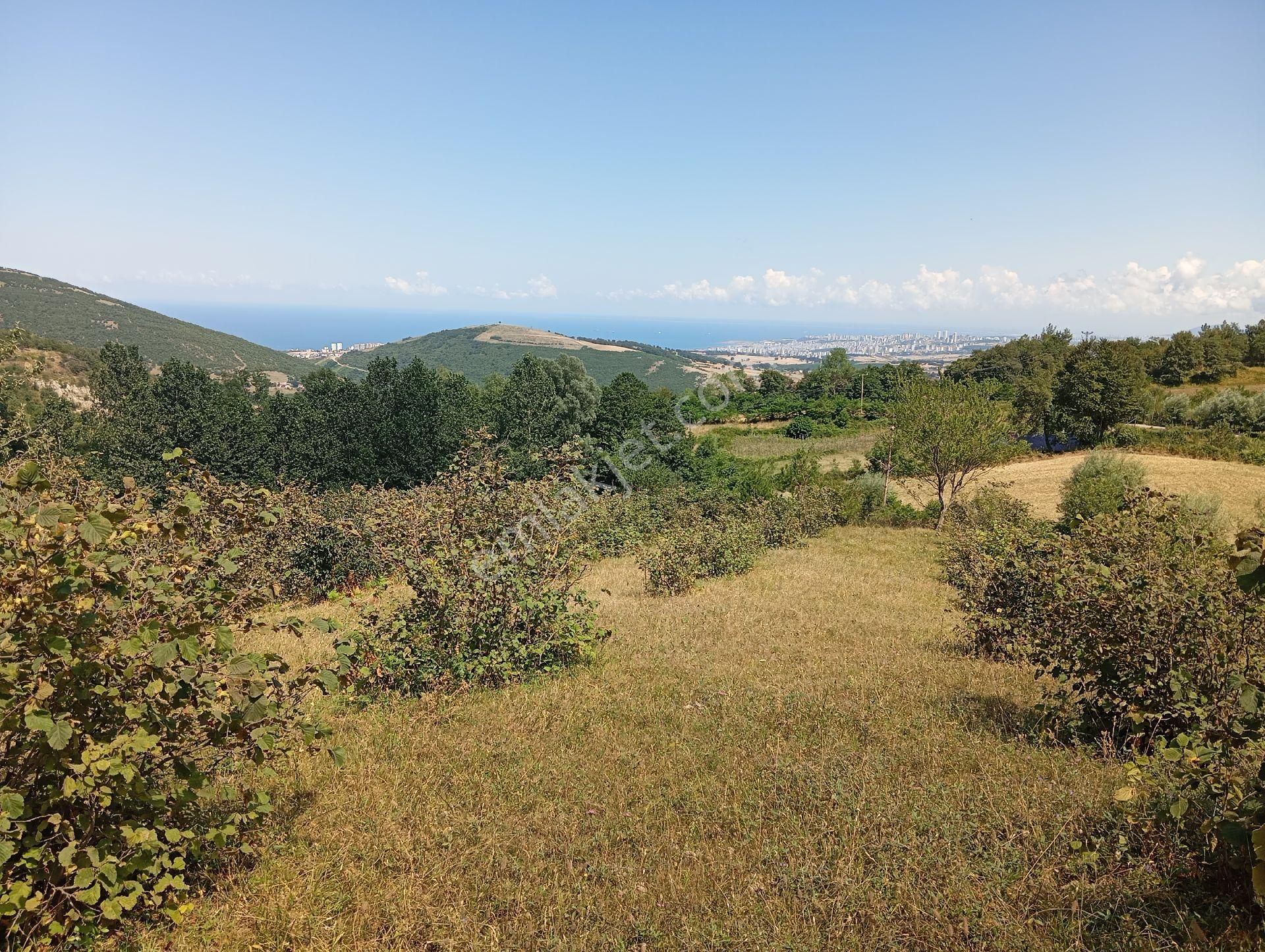 Yukarıaksu'da Satılık Atakum Ve Deniz Manzaralı Tarla - Görsel 2