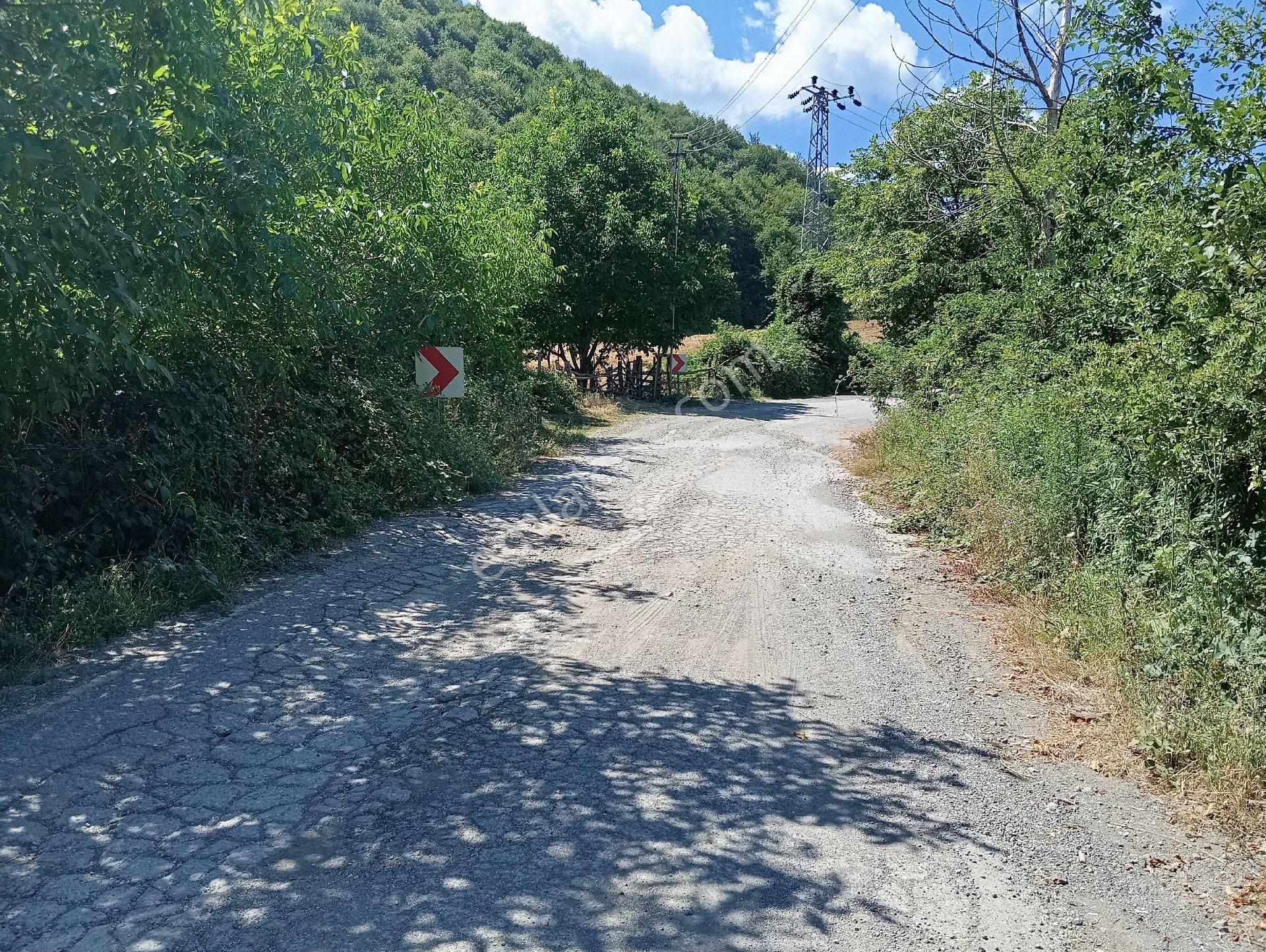 Yukarıaksu'da Satılık Atakum Ve Deniz Manzaralı Tarla - Görsel 11