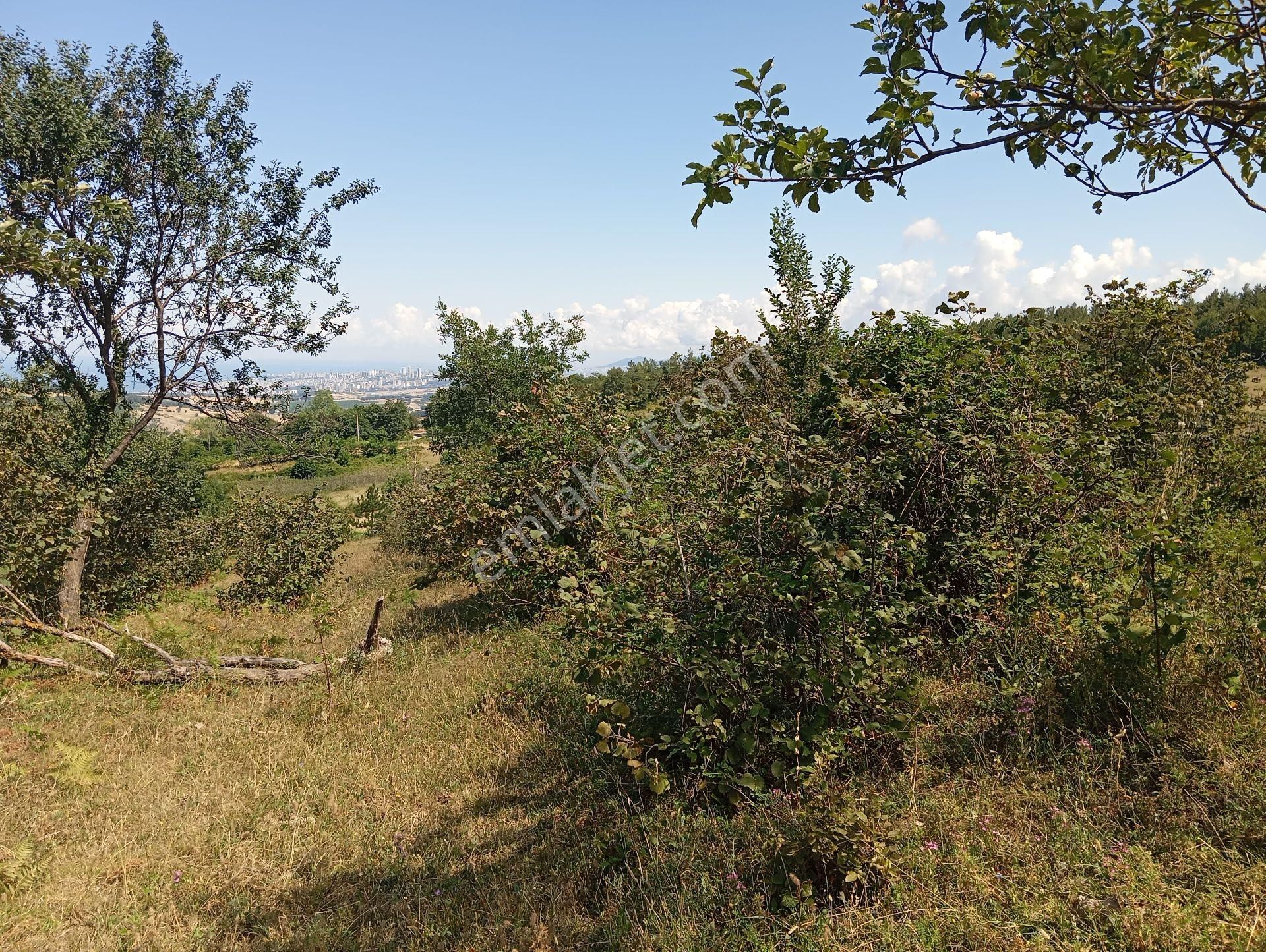 Yukarıaksu'da Satılık Atakum Ve Deniz Manzaralı Tarla - Görsel 8