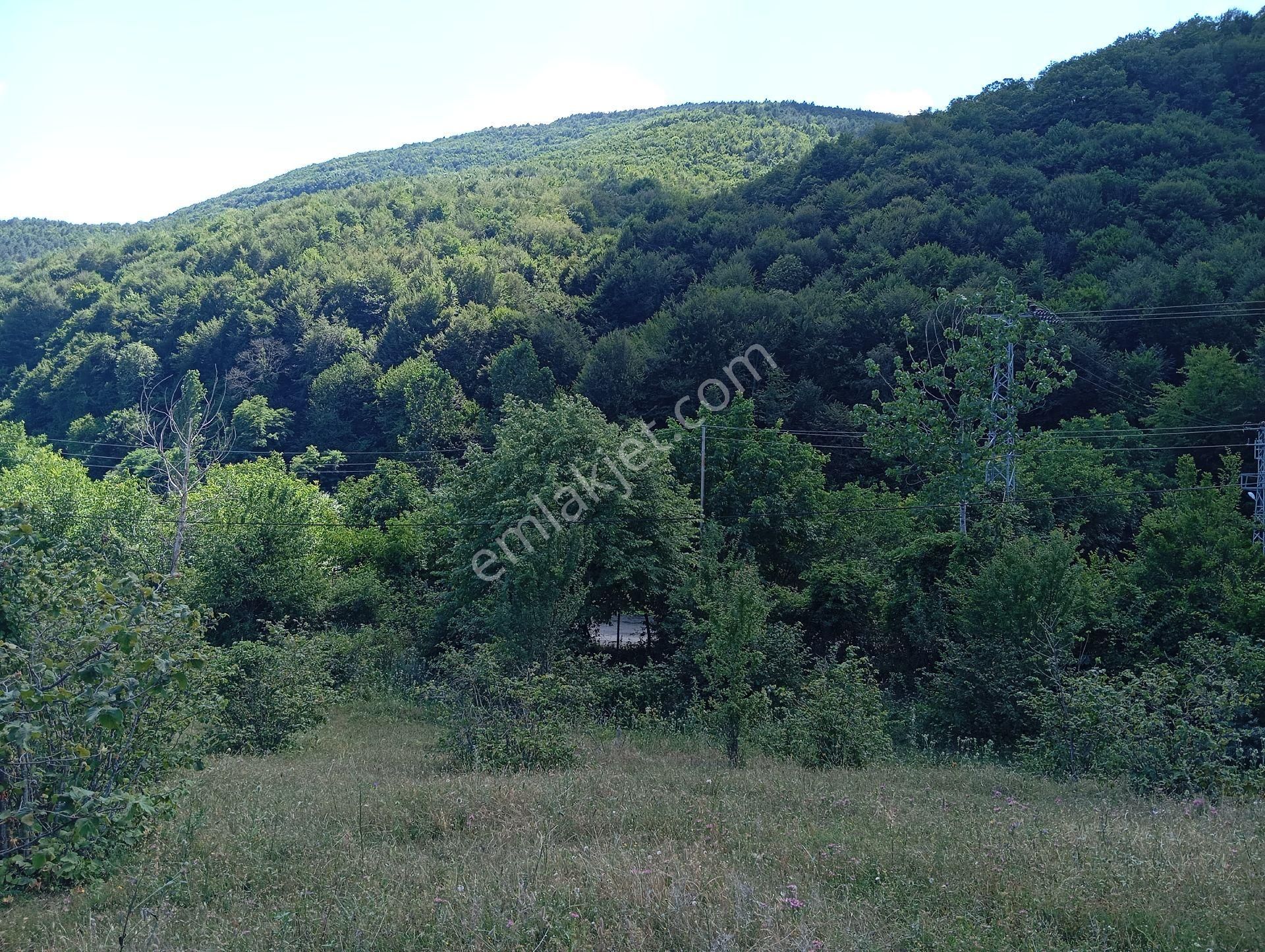 Yukarıaksu'da Satılık Atakum Ve Deniz Manzaralı Tarla - Görsel 5