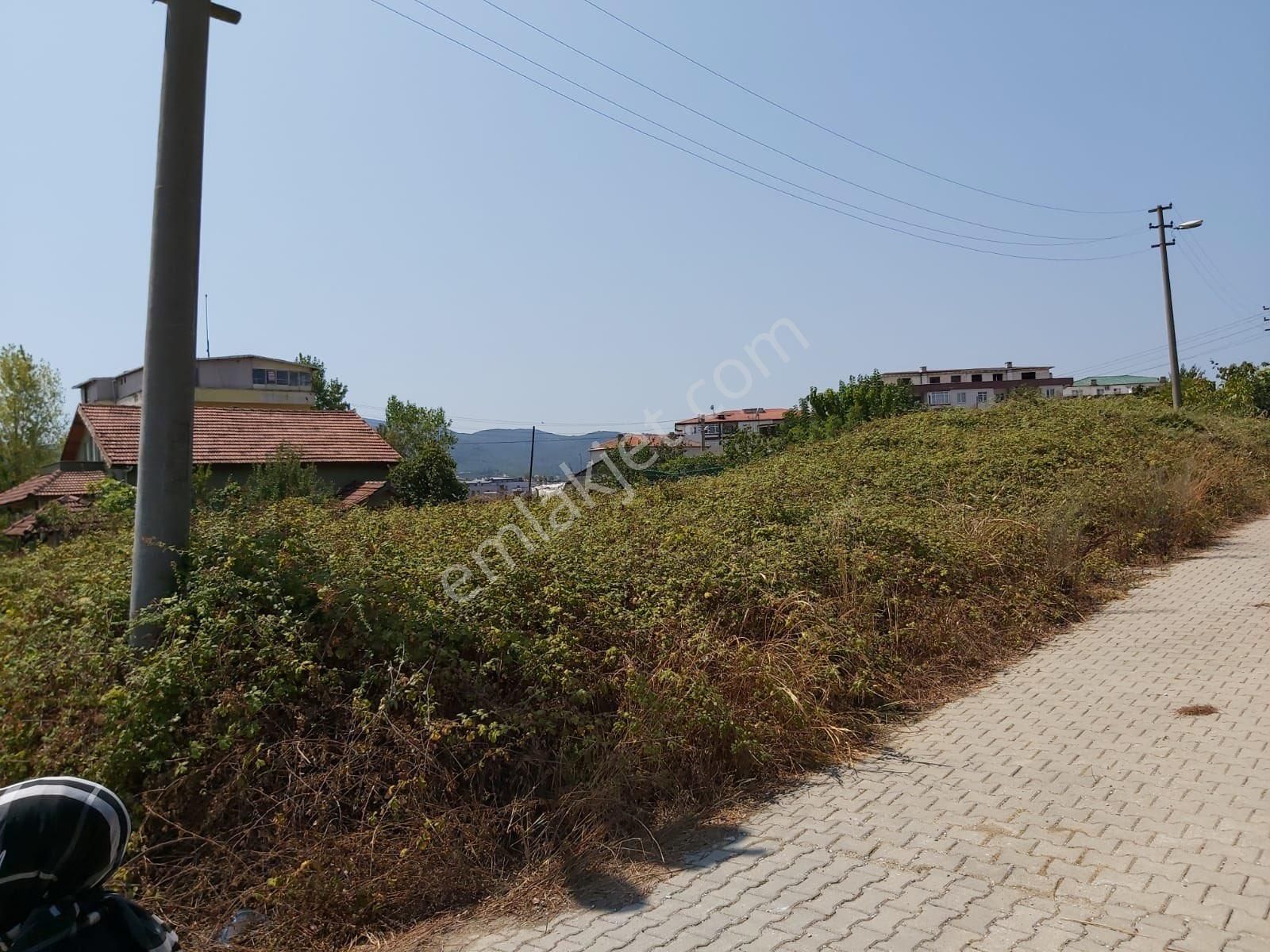 Çınarcık Koruda Satılık Villa İmarlı Arsa