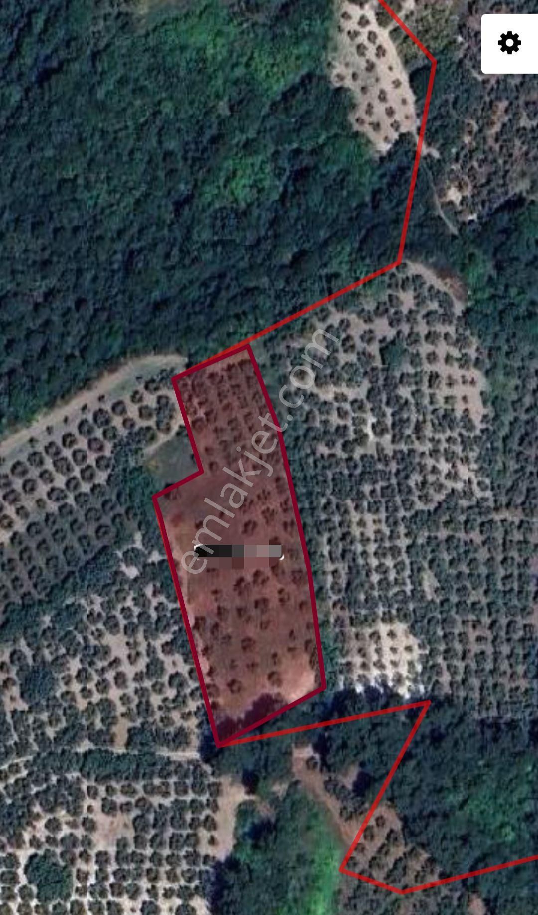 Ena Group Bursa Mudanya Işıklı'da Resmi Yola Cephe 3770 M2 Satılık Arazi