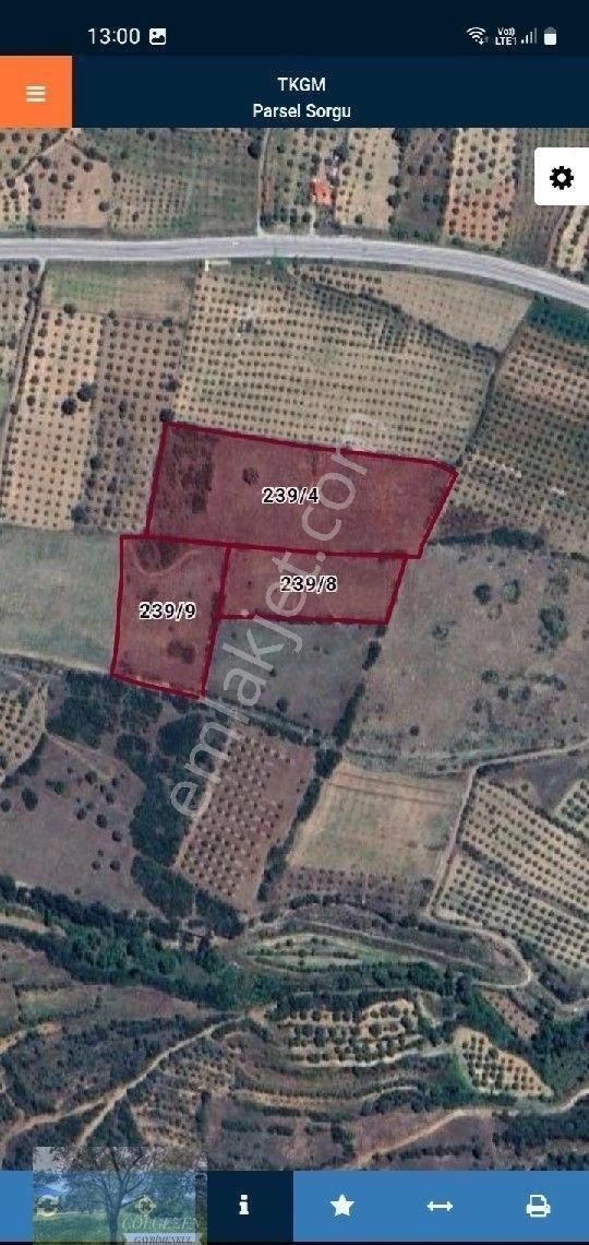Tavas Seki Köyünde 3 Parsel Toplam 24415 Mt Tek Fiyat Satılik Zeytinlik
