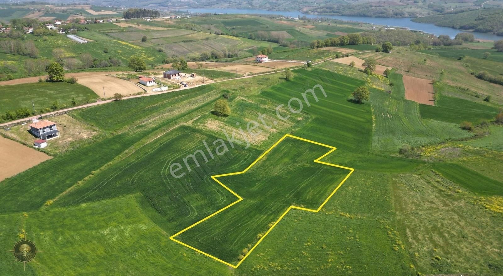 Kandıra Sarıcaali'de Köy Dibinde Eğimsiz 3385m2 Verimli Arazi
