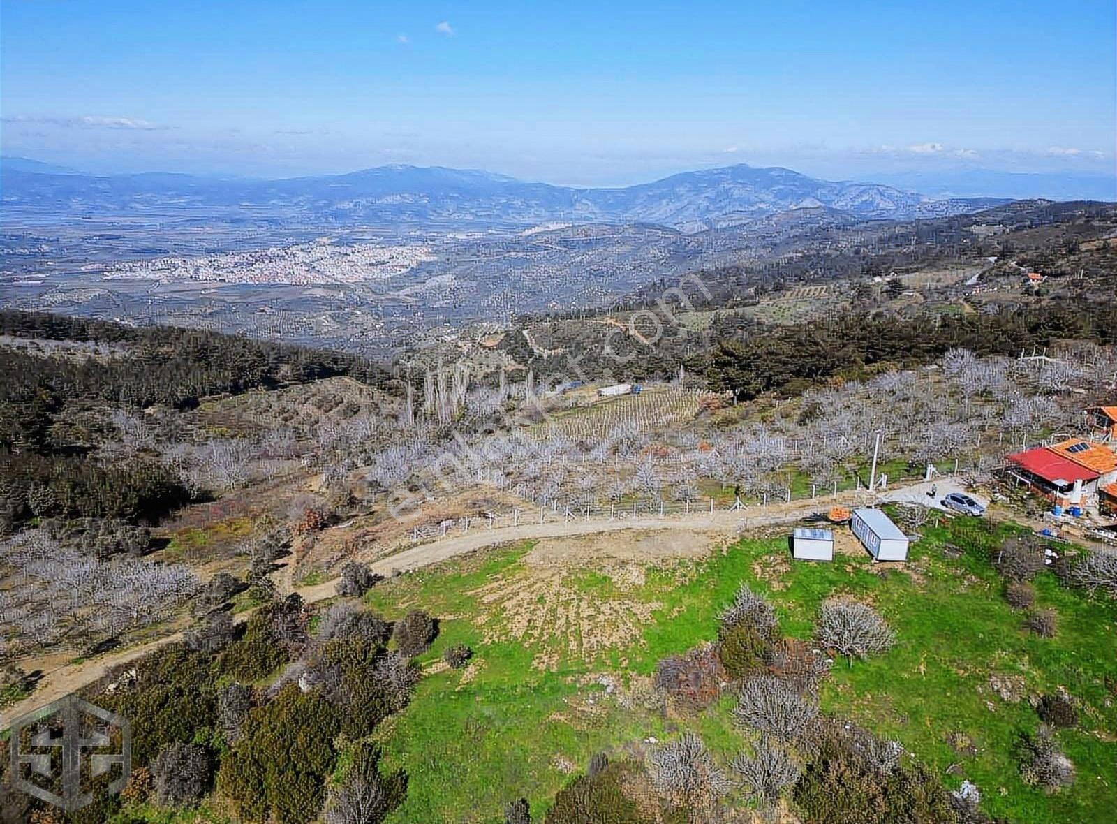 İzmir Selçuk Kireçili Köyünde Manzaralı İncir Bahcesi 1640 M2 - Görsel 11