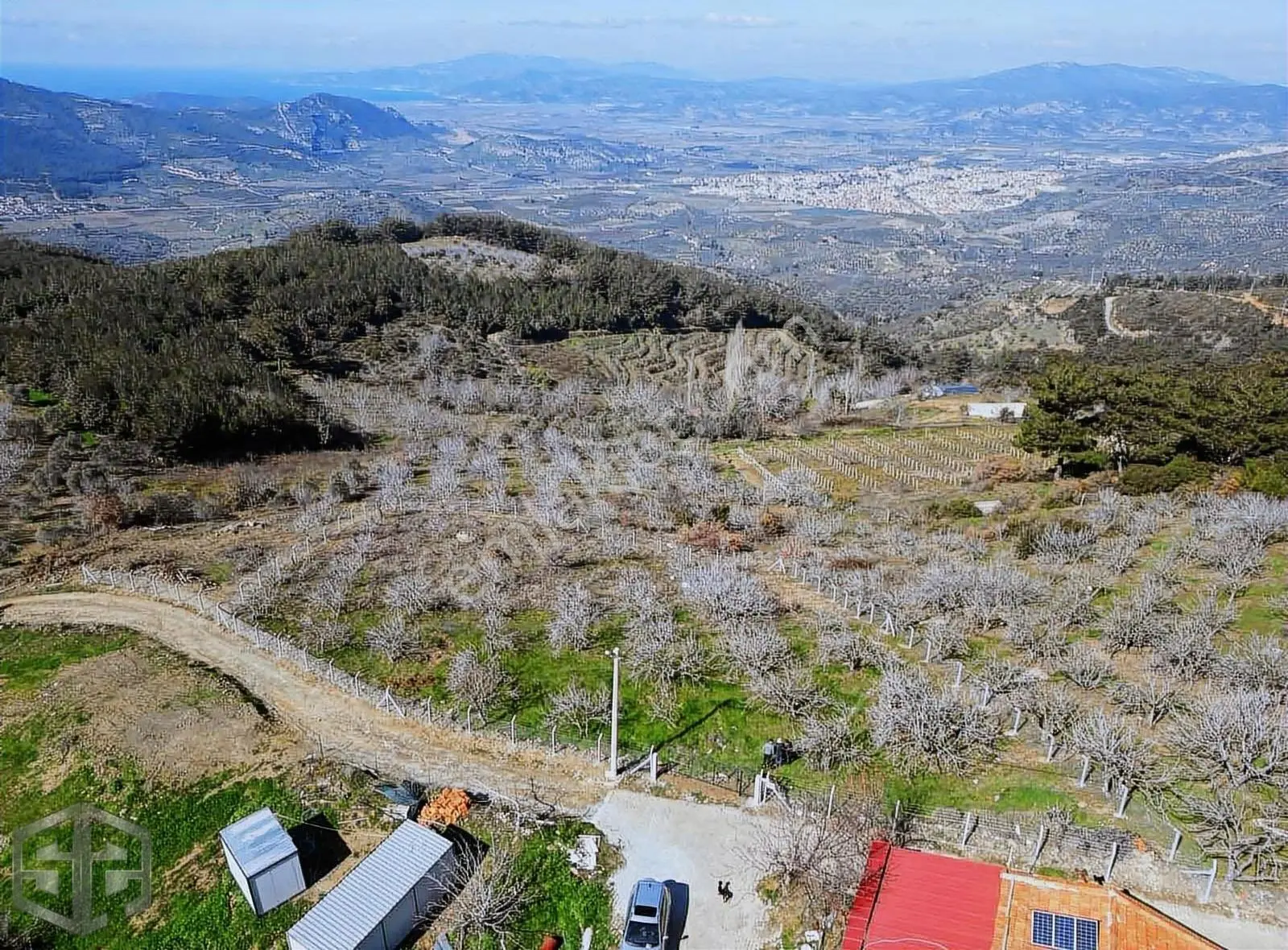 İzmir Selçuk Kireçili Köyünde Manzaralı İncir Bahcesi 1640 M2 - Görsel 5