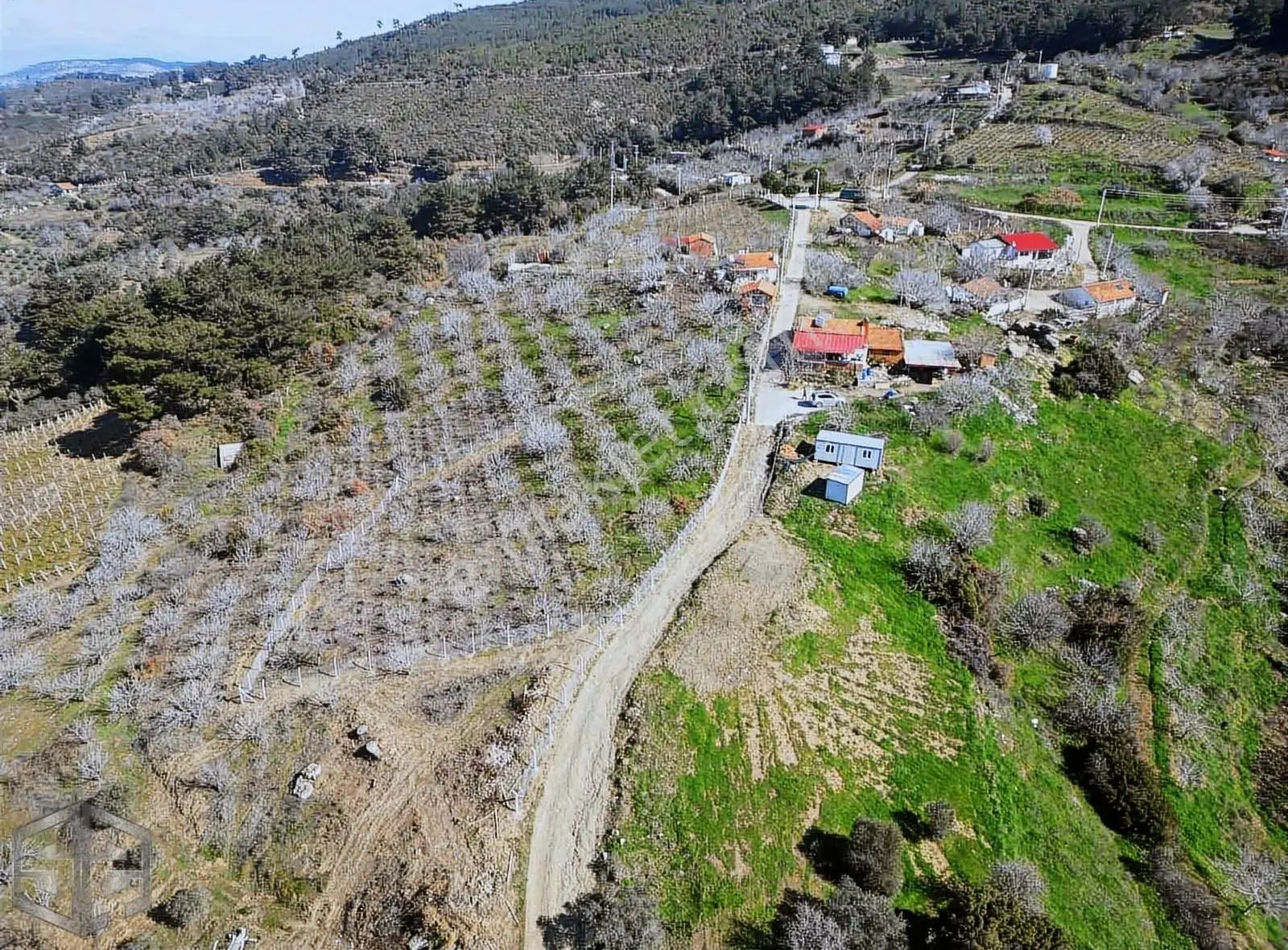 İzmir Selçuk Kireçili Köyünde Manzaralı İncir Bahcesi 1640 M2
