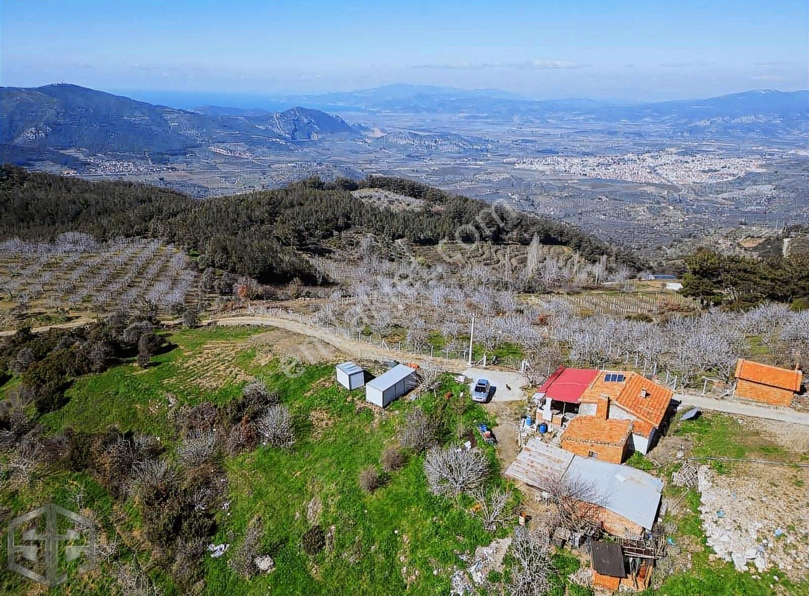 İzmir Selçuk Kireçili Köyünde Manzaralı İncir Bahcesi 1640 M2 - Görsel 10