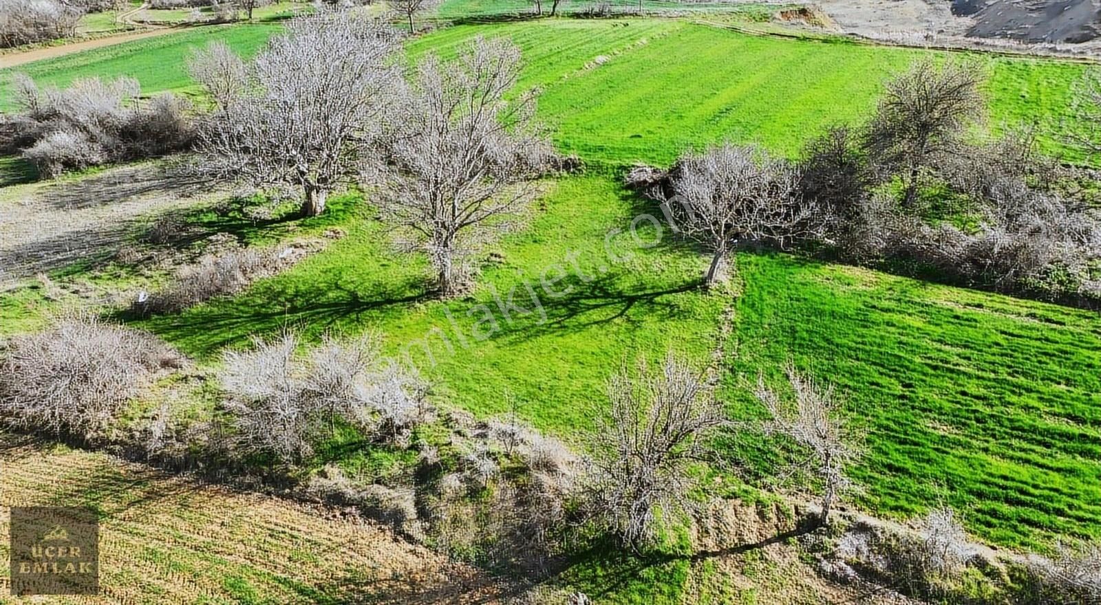 Üçer Emlak'tan Tekirdağ Malkara Yaylagöne'de 506m2 Satılık Arazi