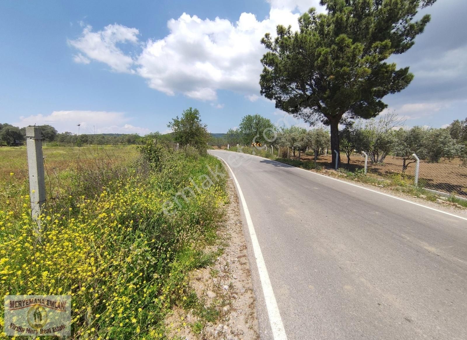 Aydın Kuşadası Çınar Yüksek Potansiyelli Turizm Arazisi ! - Görsel 6
