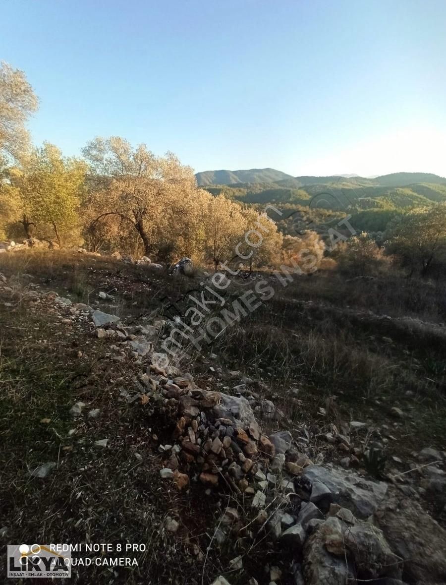 Acil Satılık Tarla
