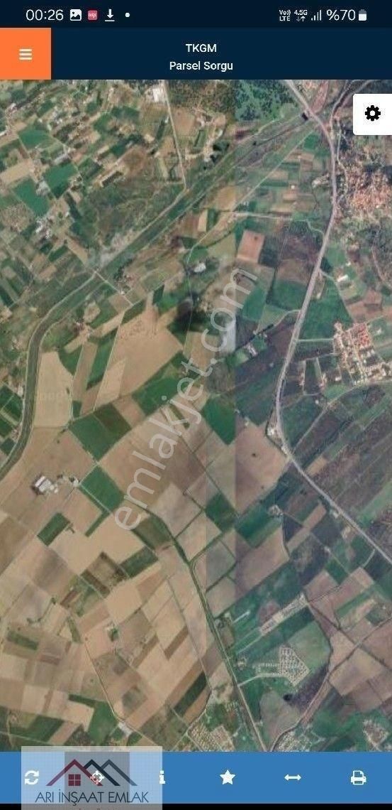 Dikili Bahçeli Köy Deniz Tarafında Uygun Tarla