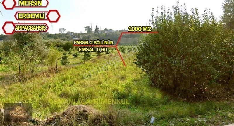 Mersin Erdemli Arpaçbahşiş Mah. 1000 M2 Satılık Parsel