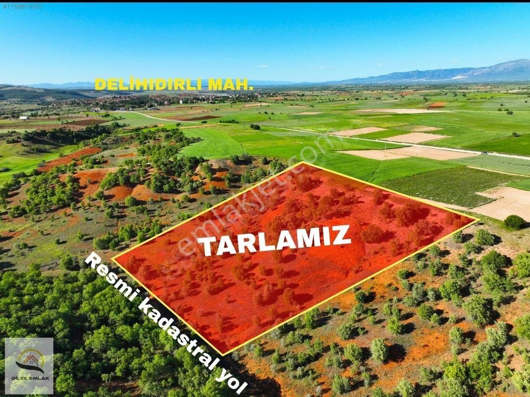 Bu Fiyata Yok Tek Tapu 8607m2 Palamutlu Tarla
