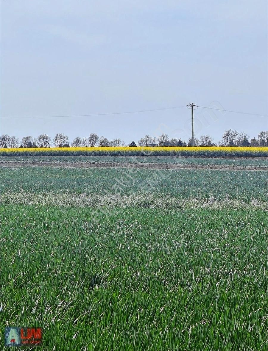 Alim Emlak Tan Tekirdağ Ergene De 375 M2 Yatırımlık Tarla