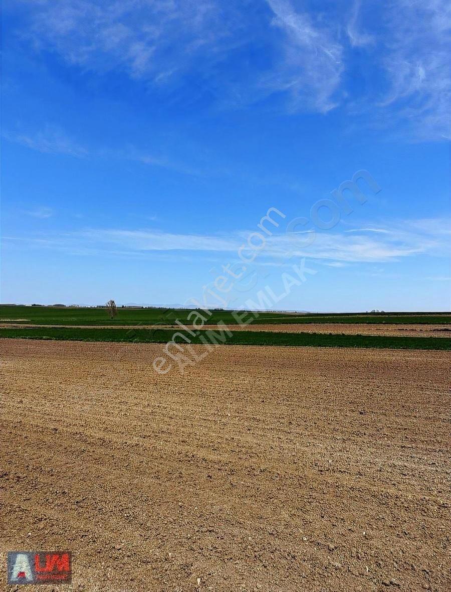 Alim Emlak Tan Tekirdağ Ergene De 472 M2 Yatırımlık Tarla