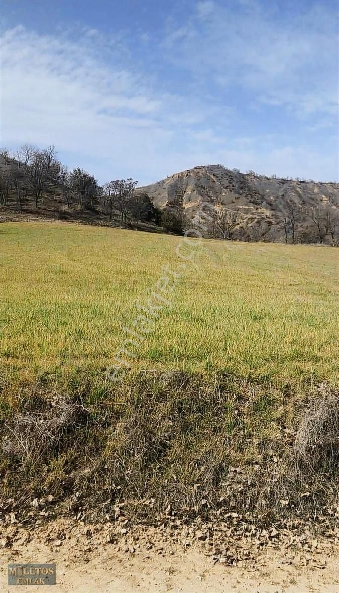 1 Tarla Fiyatına 7 Adet Tarla Veriyoruz. Toplam 35 Dönüm