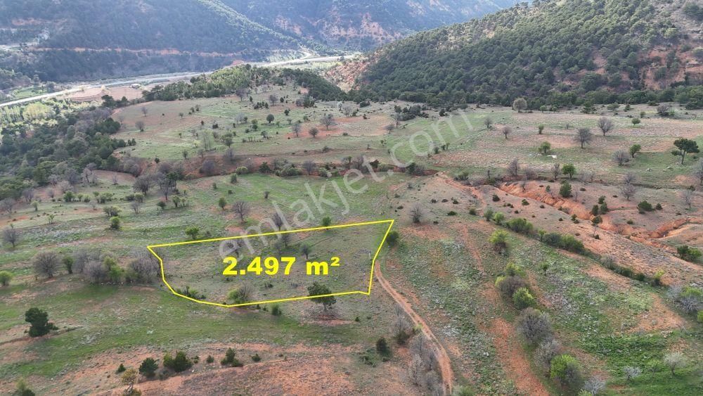 Konya / Ilgın / Aşağıçiğil-aşağı Mahallesinde 2.497 M² Müstakil Tapulu Tarla