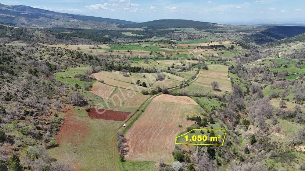 Konya / Doğanhisar / Kemer Mahallesinde 1.050 M² Müstakil Tapulu Tarla