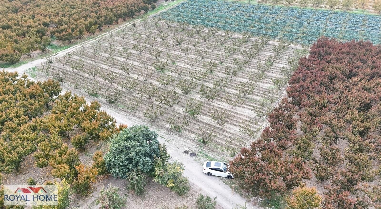 Narlıdere'de Resmi Yola Cephe - Suyu Mevcut -şeftali Bahçesi