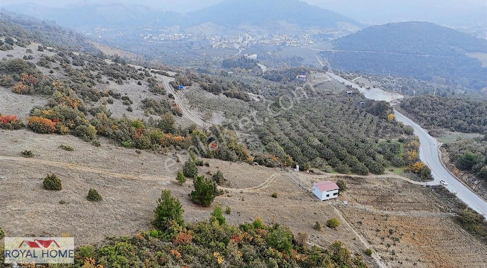 Asfalta 2. Parsel - Köye 1 Km. Mesafede - Etrafı Yanı Mera