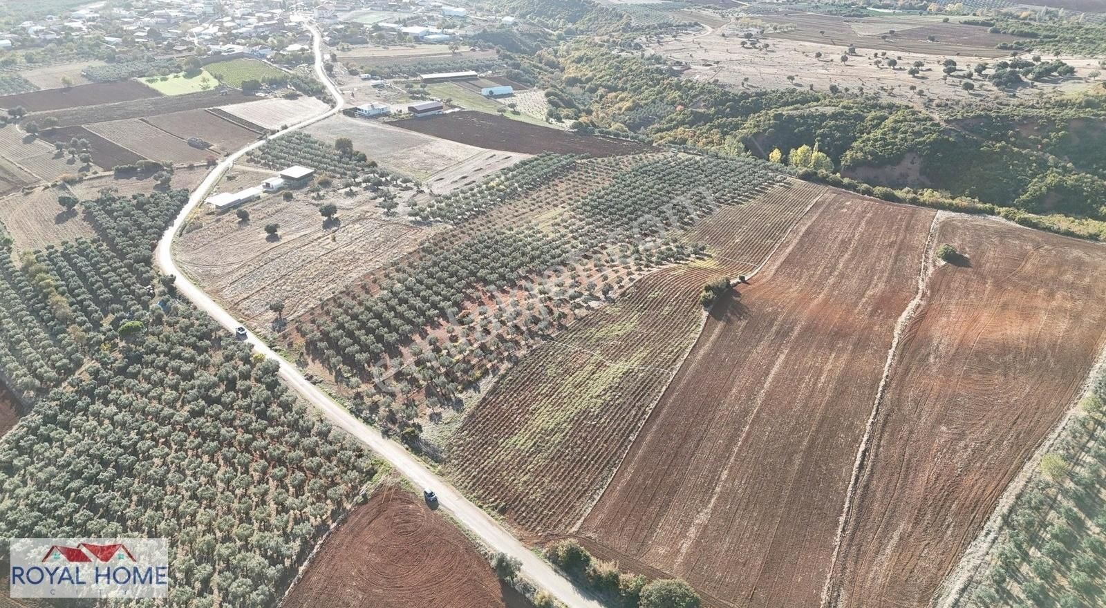 Karacabeye Yakın - Asfalta Cephe - Köye 640 Metre Mesafede