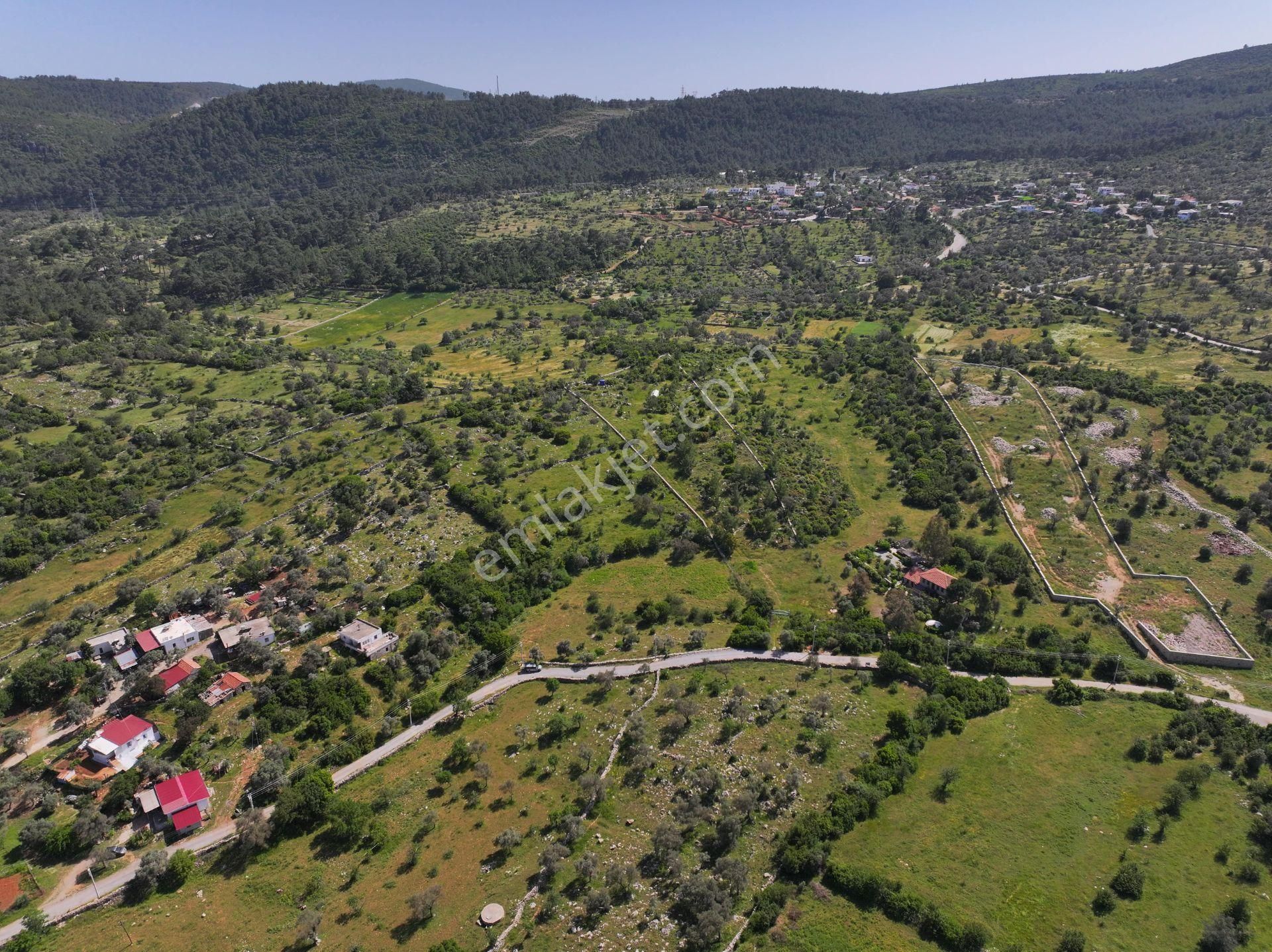 Bodrum Çamlık'da 400m² Kooperatif Hisseli Tarla