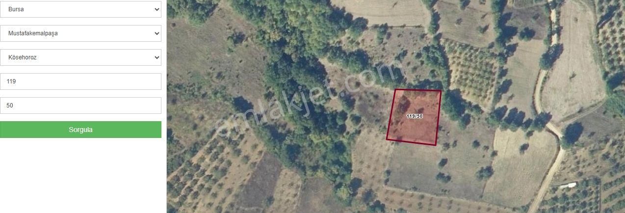 Burhan Ardıç'tan Mustafakemalpaşa Kösehoroz Köyü 2.208 M2 Tarla