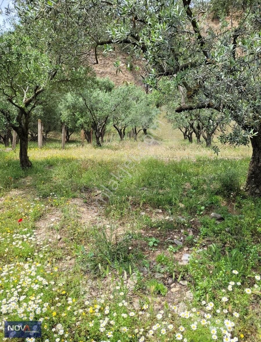 Turgutlu Derbentte Villa İmarlı Satılık Arsa