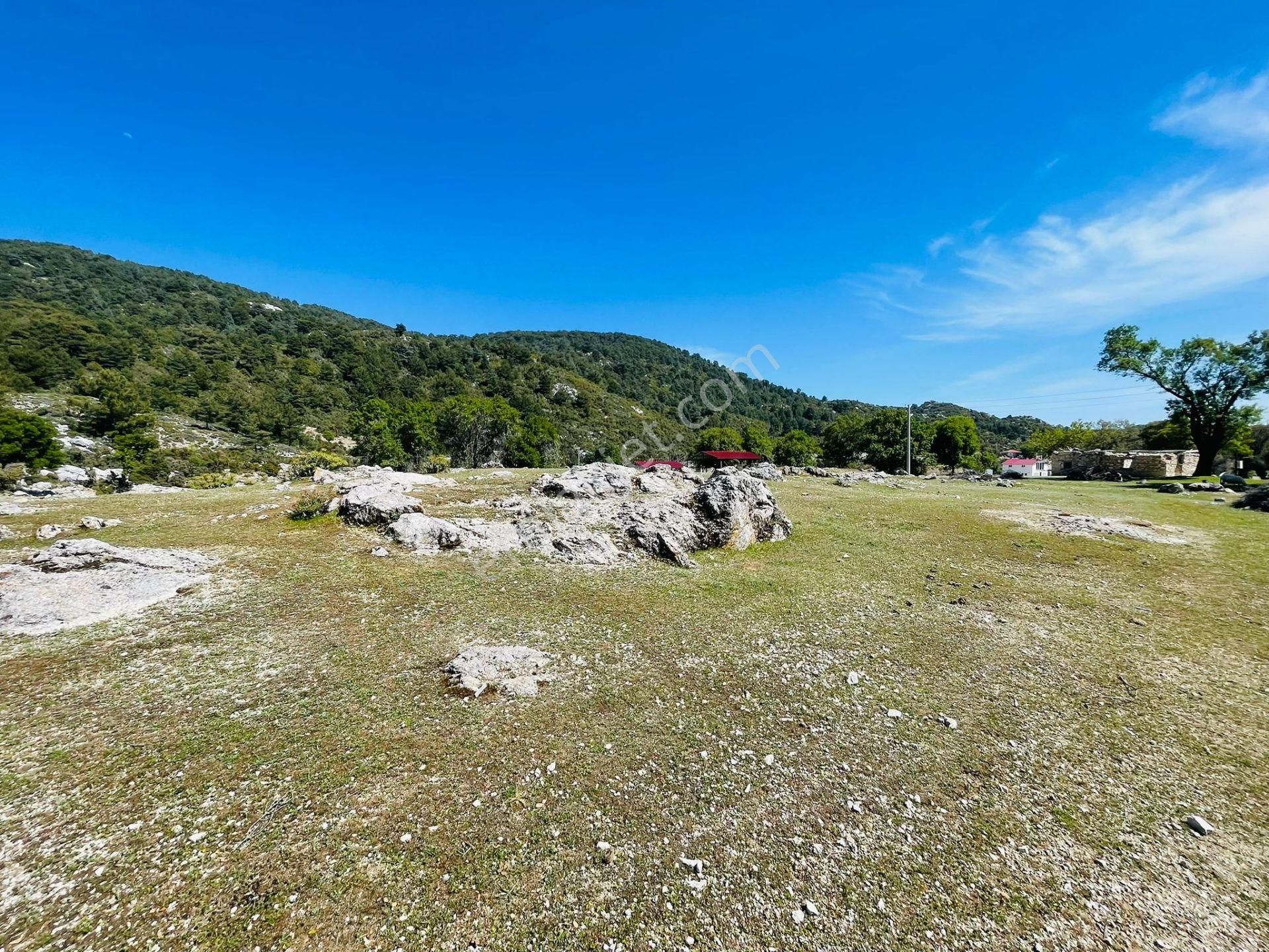 Goldhouse Dan Satılık Tarla Karaağaç Ta 4073m2 Yatırımlık Fırsat - Görsel 10