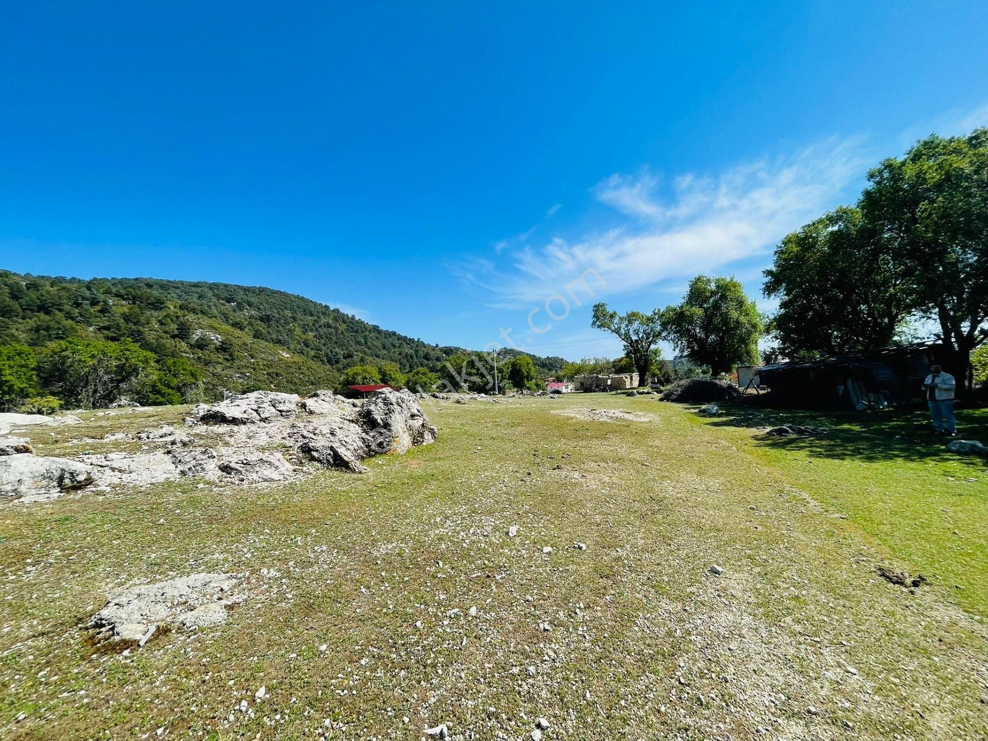 Goldhouse Dan Satılık Tarla Karaağaç Ta 4073m2 Yatırımlık Fırsat - Görsel 11