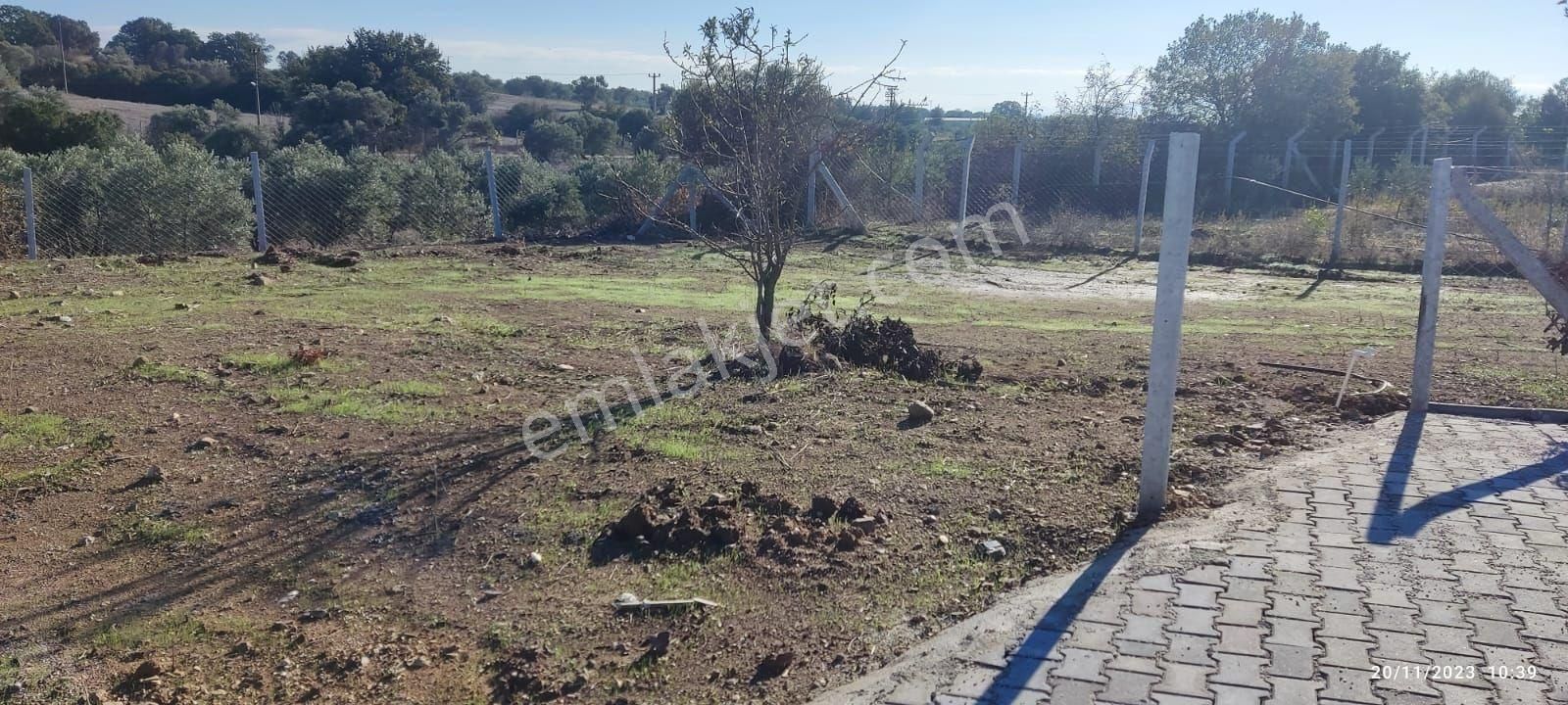 İzmir Menderes Sahibinden 250m2 Bahçe