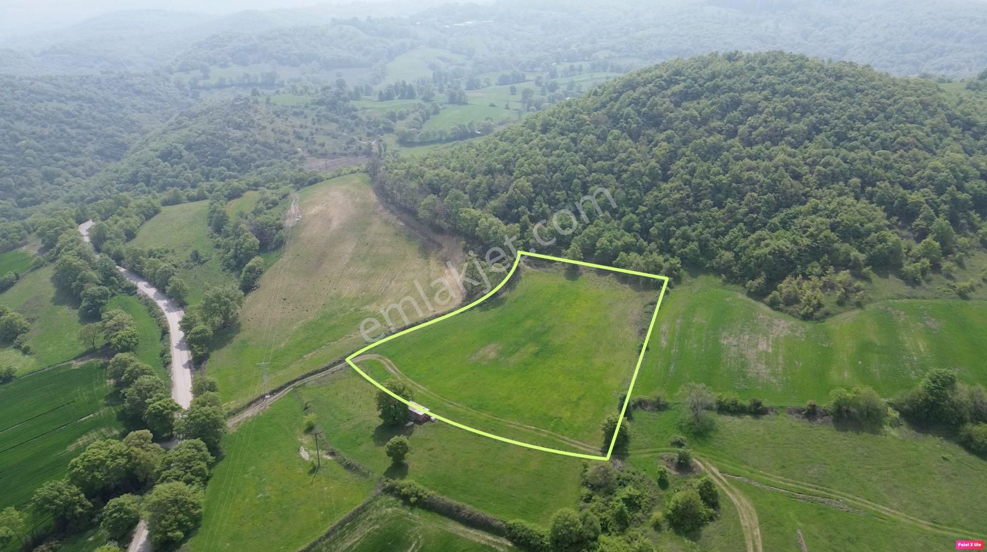 7.700 M2 Asfalta, Köye Ve Çeşmeye Yakın Arazi