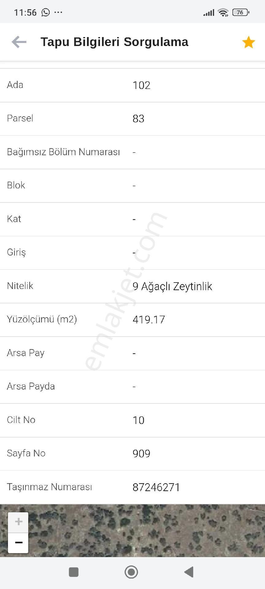 Yola Sıfır Zeytinlik