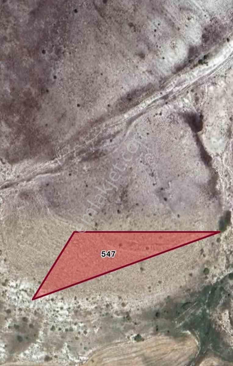 Kütahya Çavdarhısar Satılık Tarla