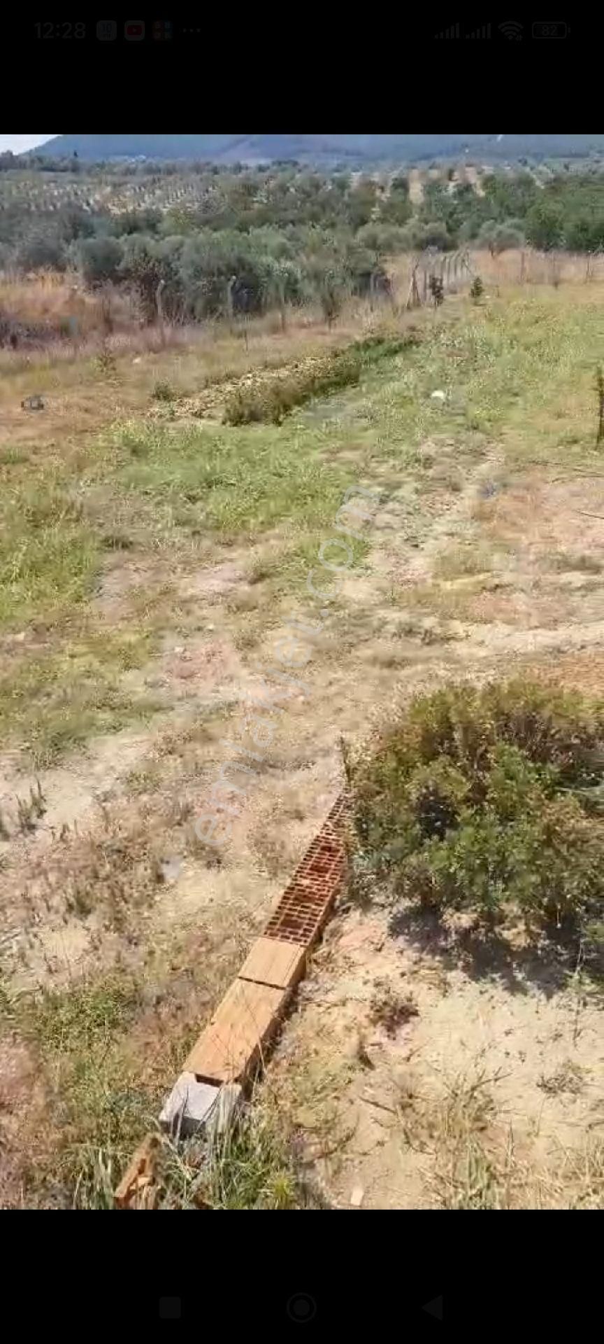 Torbalı Karakuyu M.kemal Mh 1800 M Kare Tarla Miras Hisse1