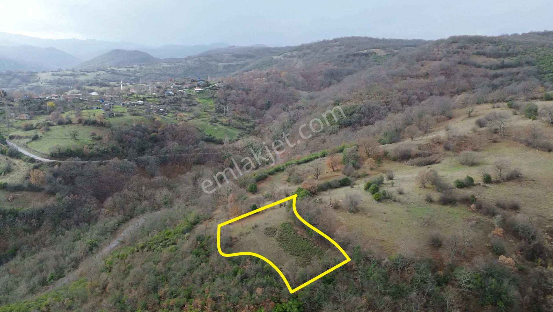 1.958 M2 Gönen Dumanalan'da Asfalta Ve Köye Yakın Tarla