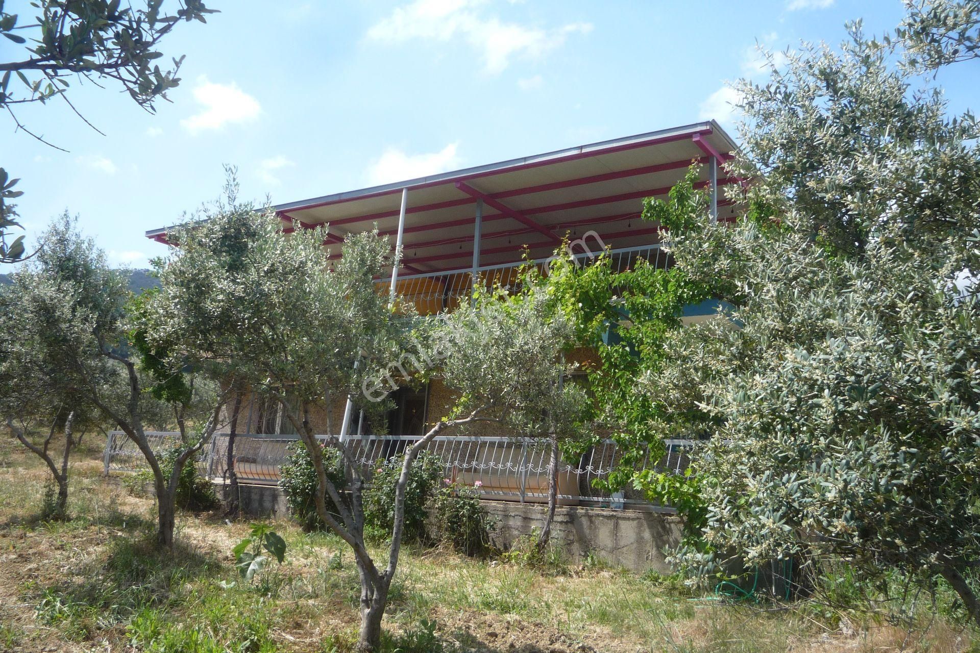 İzmir Torbalı Gold Emlaktan Satılık Harika Bahçeli Ev Ve Dam - Görsel 7