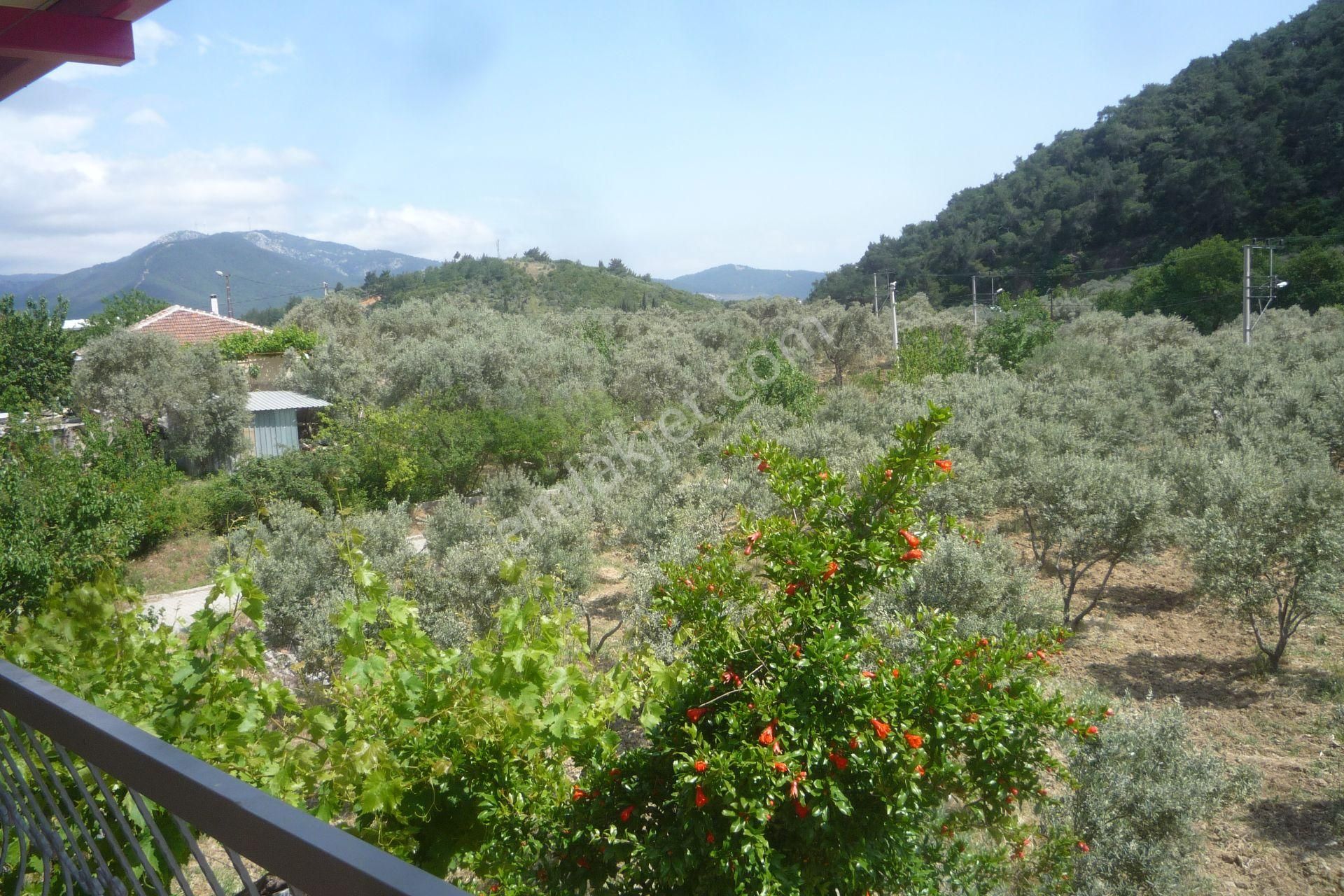 İzmir Torbalı Gold Emlaktan Satılık Harika Bahçeli Ev Ve Dam - Görsel 30