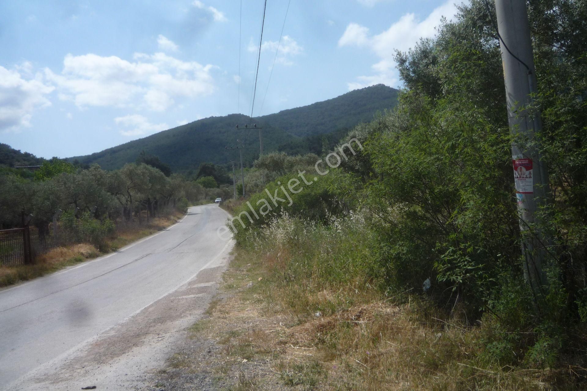 İzmir Torbalı Gold Emlaktan Satılık Harika Bahçeli Ev Ve Dam - Görsel 33