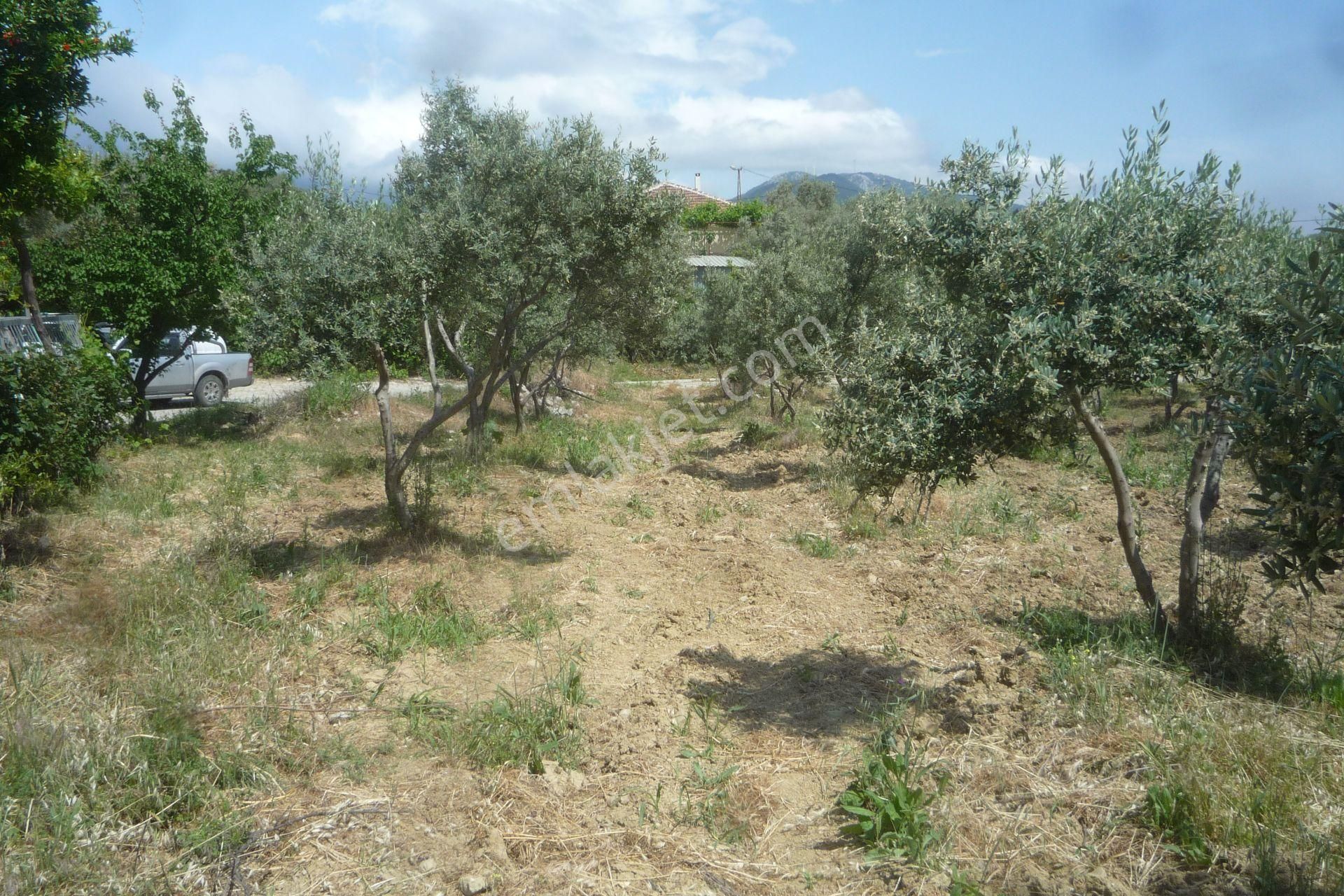 İzmir Torbalı Gold Emlaktan Satılık Harika Bahçeli Ev Ve Dam - Görsel 10
