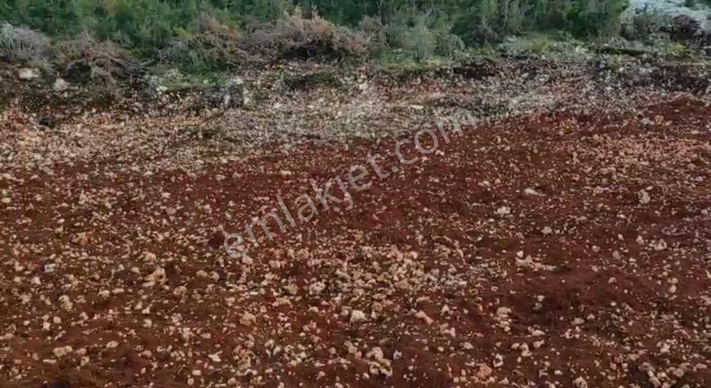 Mersin Erdemli Aslanlı Köyiçi Konut İmarlı Satılık Arsa