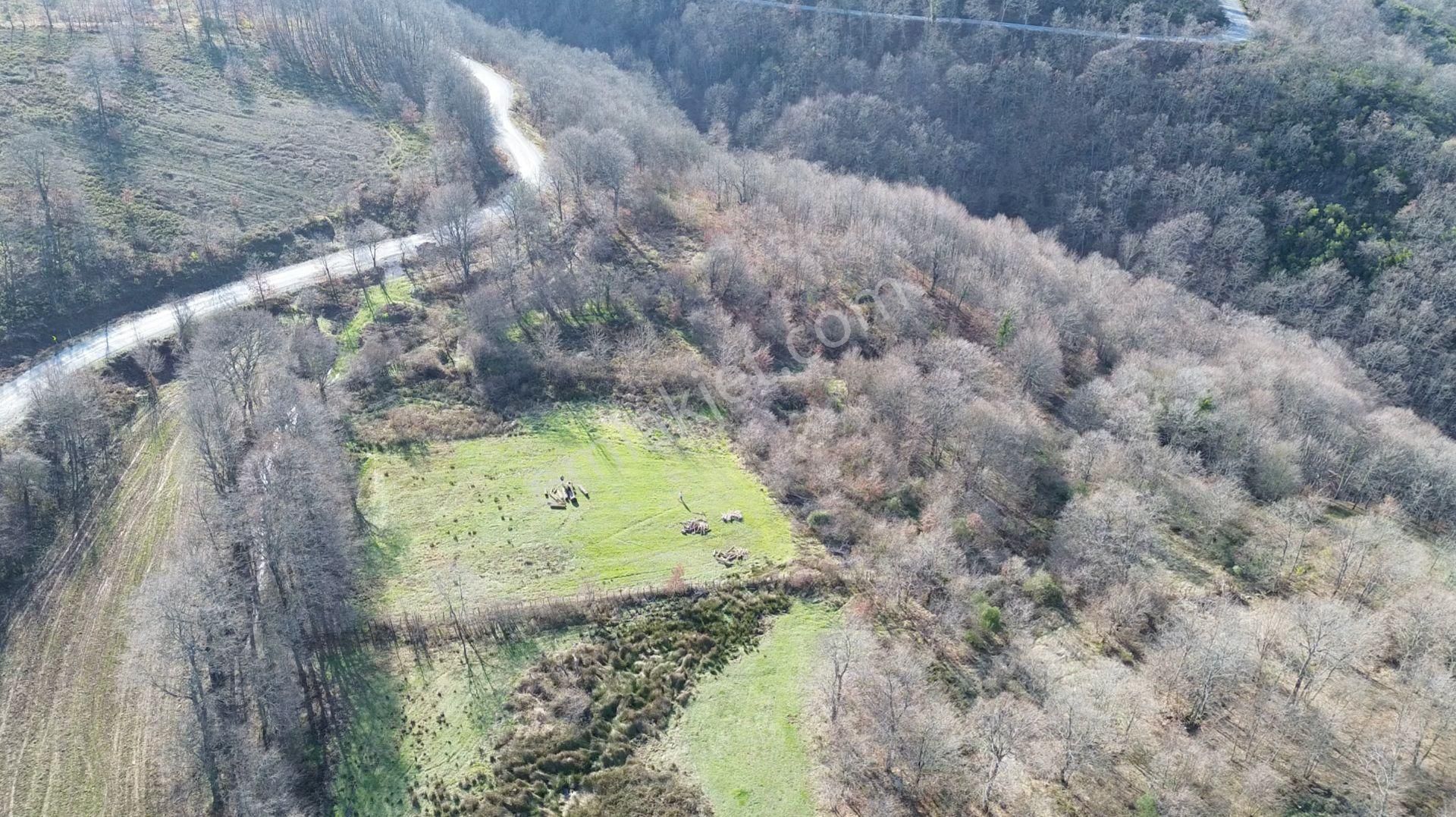 11.500 M2 Yola Yakın Köye Yakın Arazi
