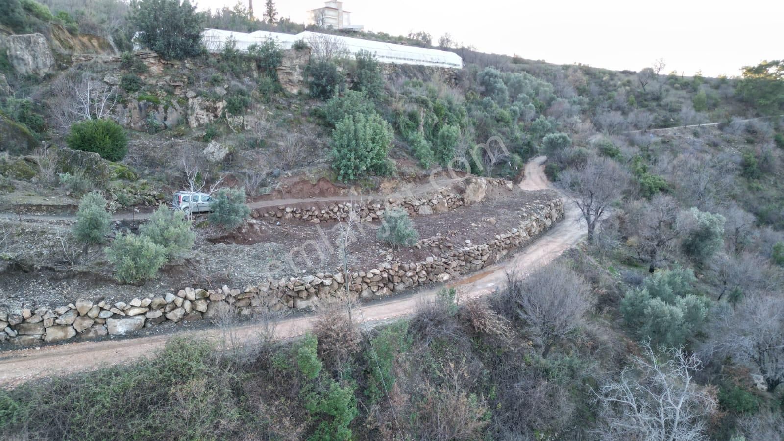 Satılık Tarla - Alanya Burçaklar