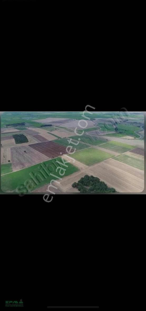 Tekirdağ Muratlı Aydınköy Satılık 5.354 M2 Tarla