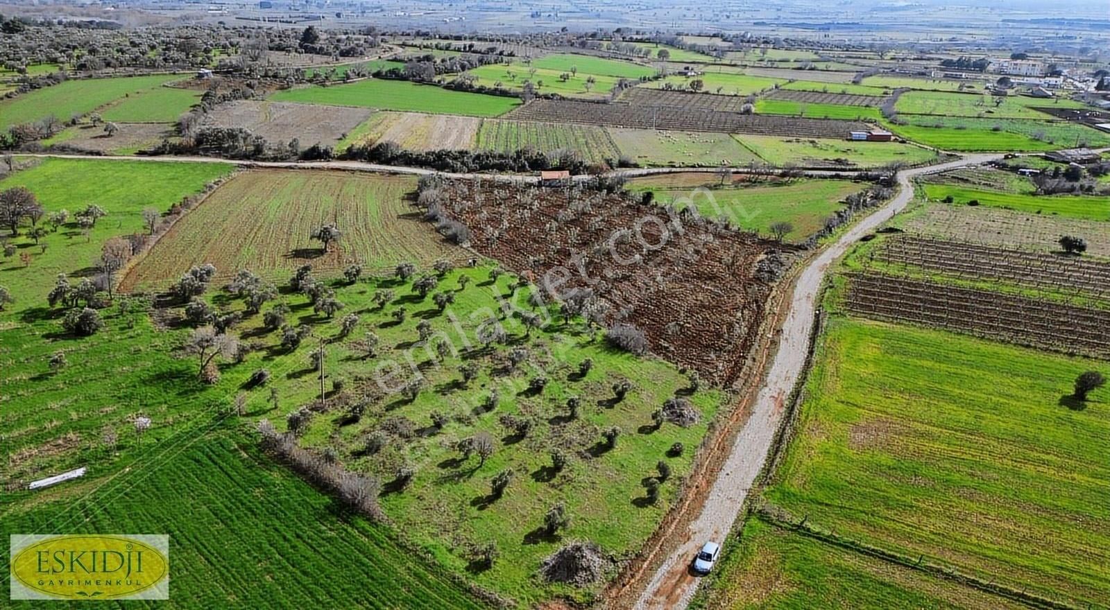 Çanakkale Bayramiç Ahmetçeli Köyü Yola Cephe 5.400 M² Zeytinlik