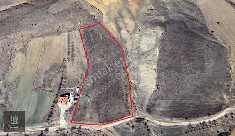 Mevsim Gayrimenkul'den Tepe Köyde Resmi Yolu Olan Satılık Tarla