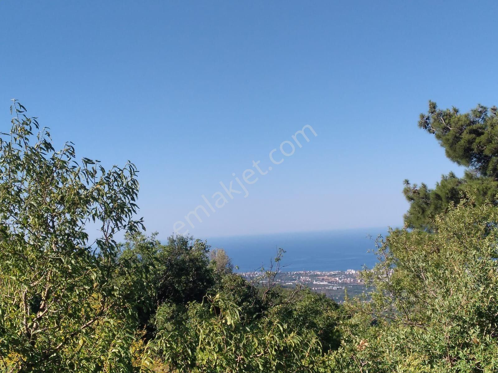 Alanya Bademağacın'da Doğa İçinde Mini Villa - Görsel 17